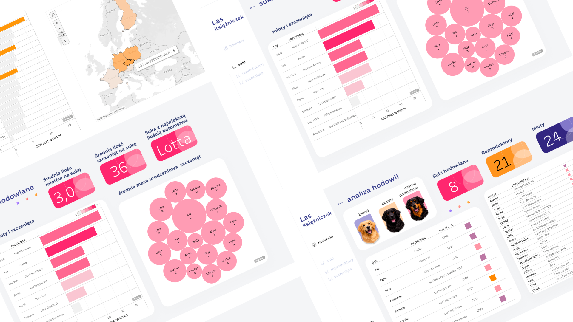 dashboardów w Tableau